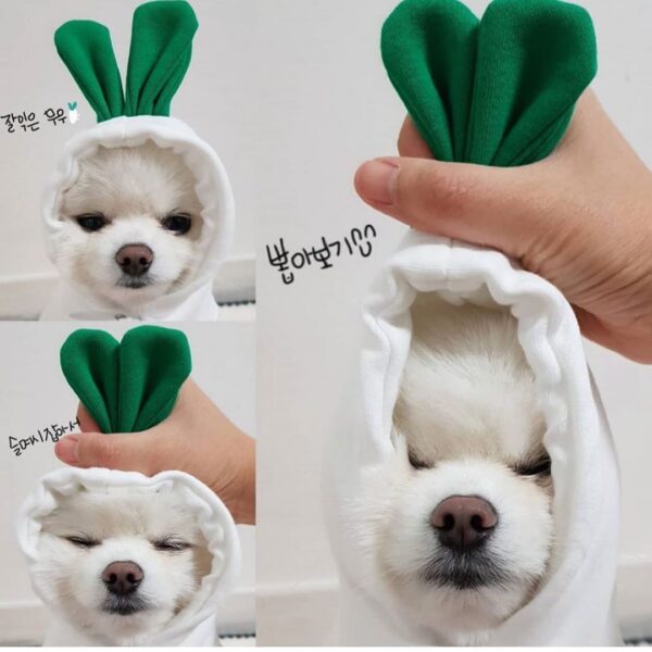 Cute Fruit Dog Clothes For Small Dogs Hoodies Winter Warm Fleece Pet Clothing Puppy Cat Costume Coat For French Chihuahua Outfit - Image 7