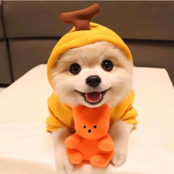 Cute Fruit Dog Clothes For Small Dogs Hoodies Winter Warm Fleece Pet Clothing Puppy Cat Costume Coat For French Chihuahua Outfit - Image 4