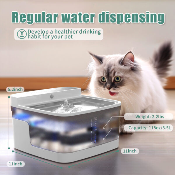 Pet Water Dispenser - Image 8