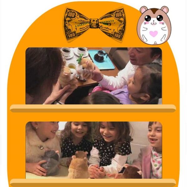 ⁦15CM Little Talking Hamster Toy⁩ – תמונה ⁦5⁩