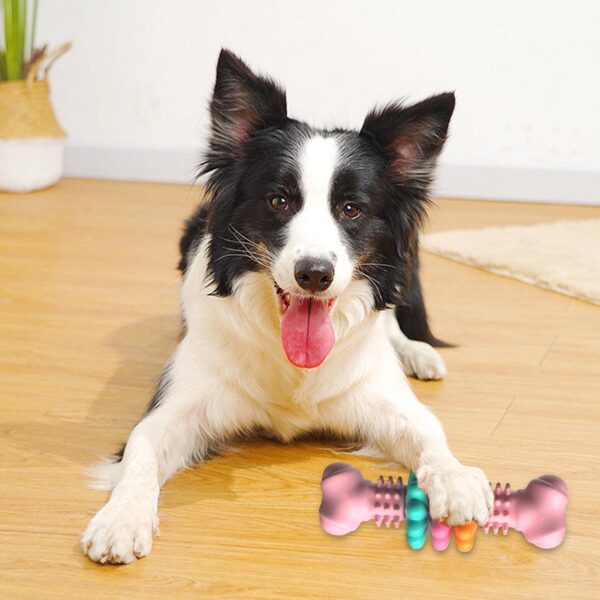 ⁦Dog Chew Toy Dog Bone Type  Dogs Teeth Cleaning Toys Indestructible TPR Bone Chewing Bite Resistant Teething Toys  Pet Products⁩ – תמונה ⁦6⁩