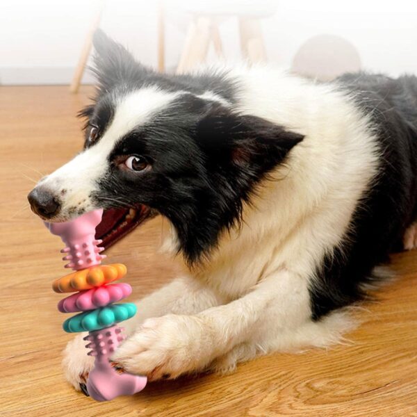 ⁦Dog Chew Toy Dog Bone Type  Dogs Teeth Cleaning Toys Indestructible TPR Bone Chewing Bite Resistant Teething Toys  Pet Products⁩ – תמונה ⁦4⁩